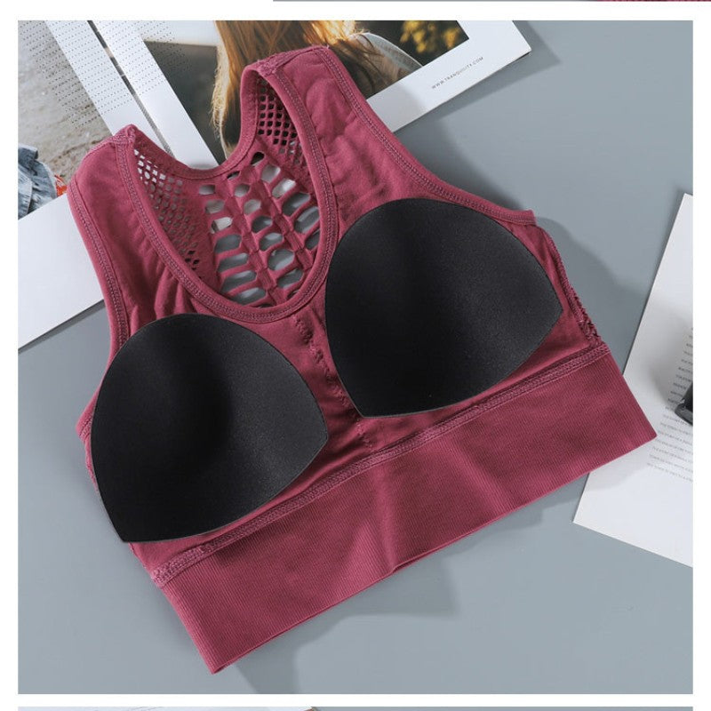 Sports Bra Sexy Breathable Mesh Top - MVP Sports Wear & Gear