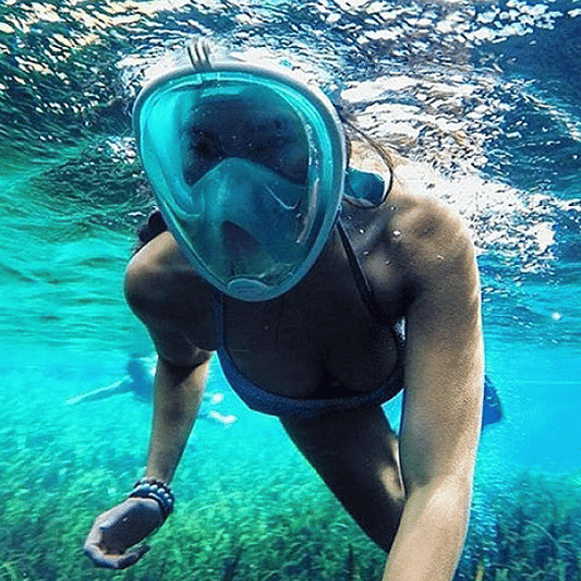 Full Face Snorkel Mask by VistaShops