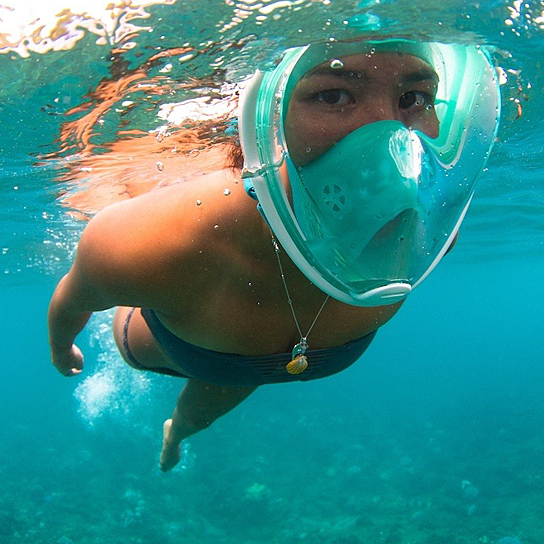 Full Face Snorkel Mask by VistaShops